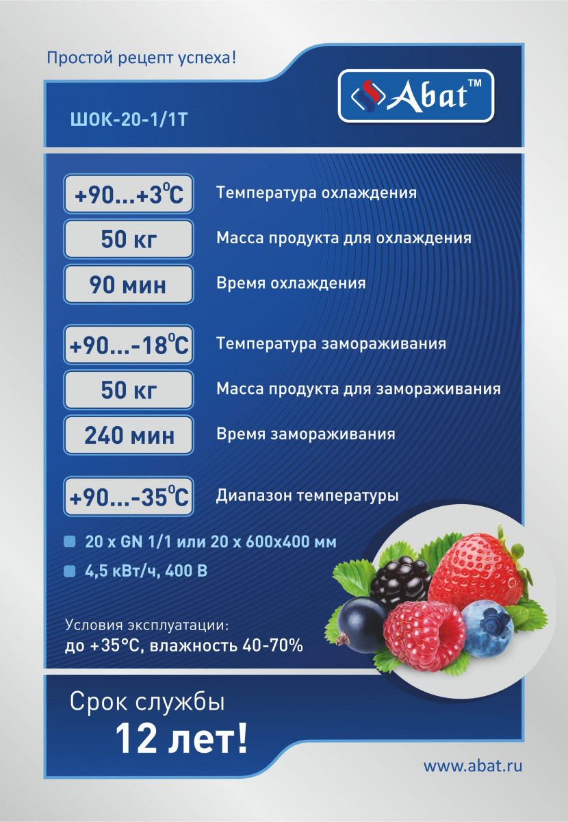 ШОК-20-1/1Т 
